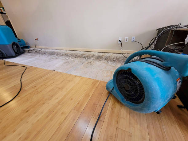 Professional Sewage Cleanup technician working in Purdys, NY